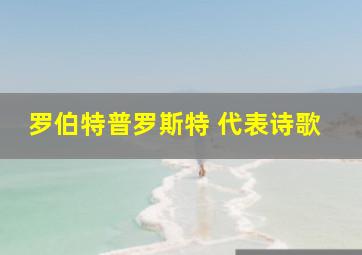 罗伯特普罗斯特 代表诗歌